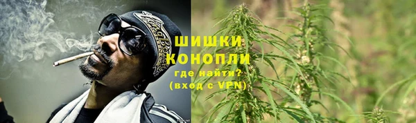 ГАЛЛЮЦИНОГЕННЫЕ ГРИБЫ Богородицк