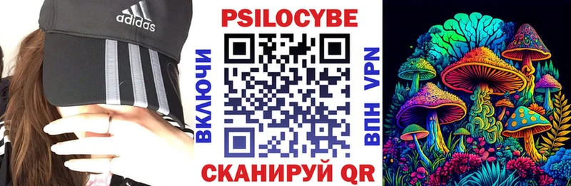 darknet Telegram  Озёрск  Псилоцибиновые грибы прущие грибы 